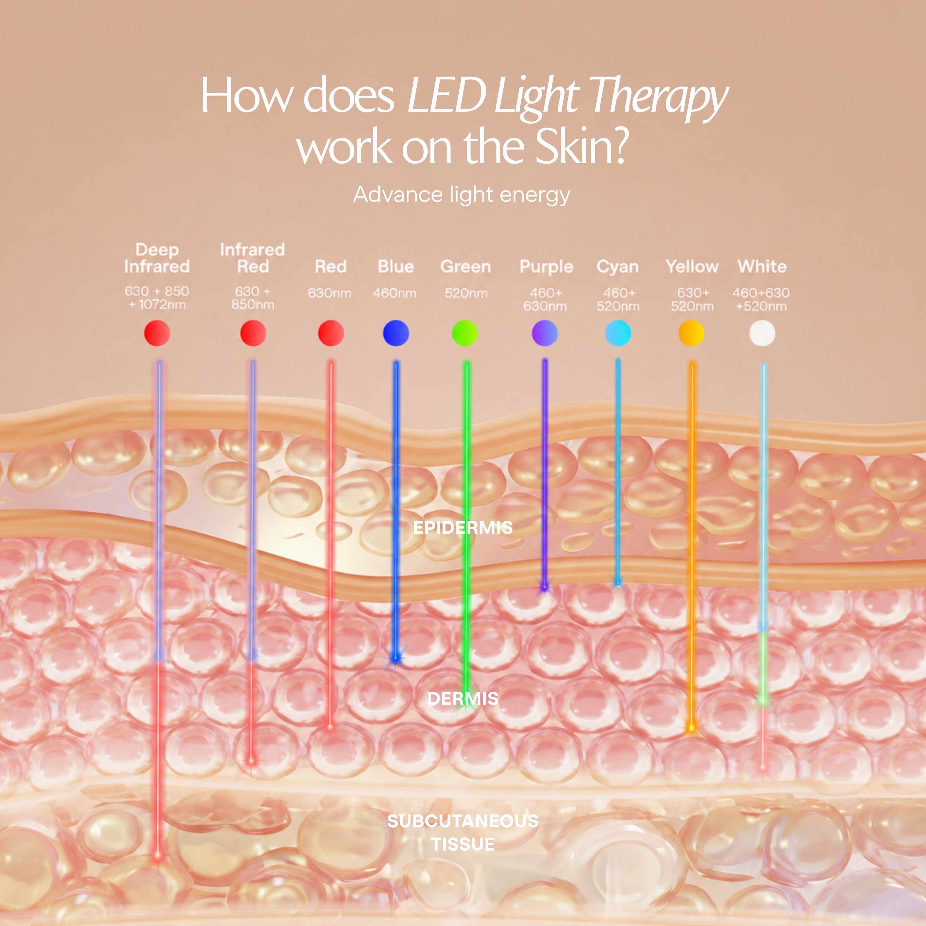 LumaLux Face+ | Pro LED Red Light Therapy Face & Neck Mask - Project E Beauty